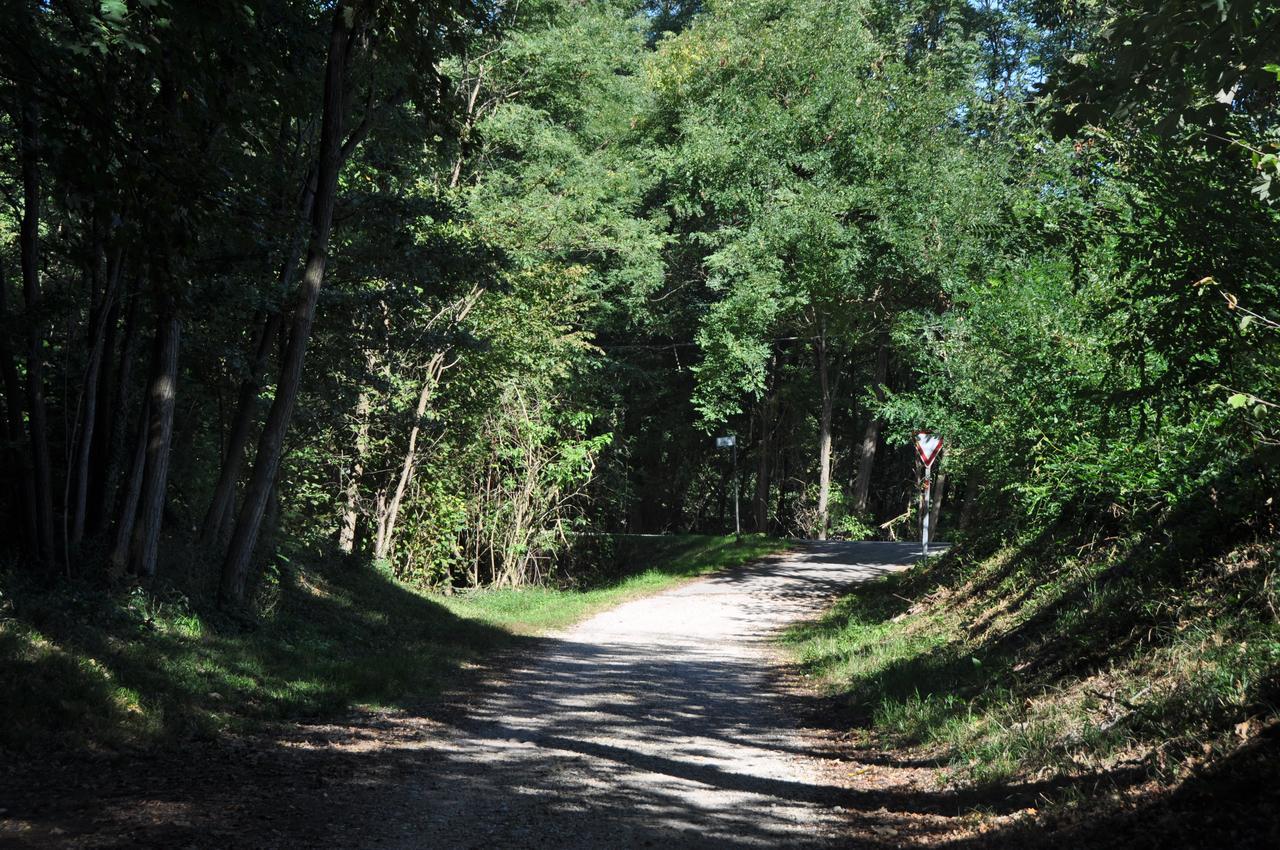 Villa Fior Di Robinia Giavera del Montello Luaran gambar